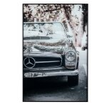 Stang - Image 3